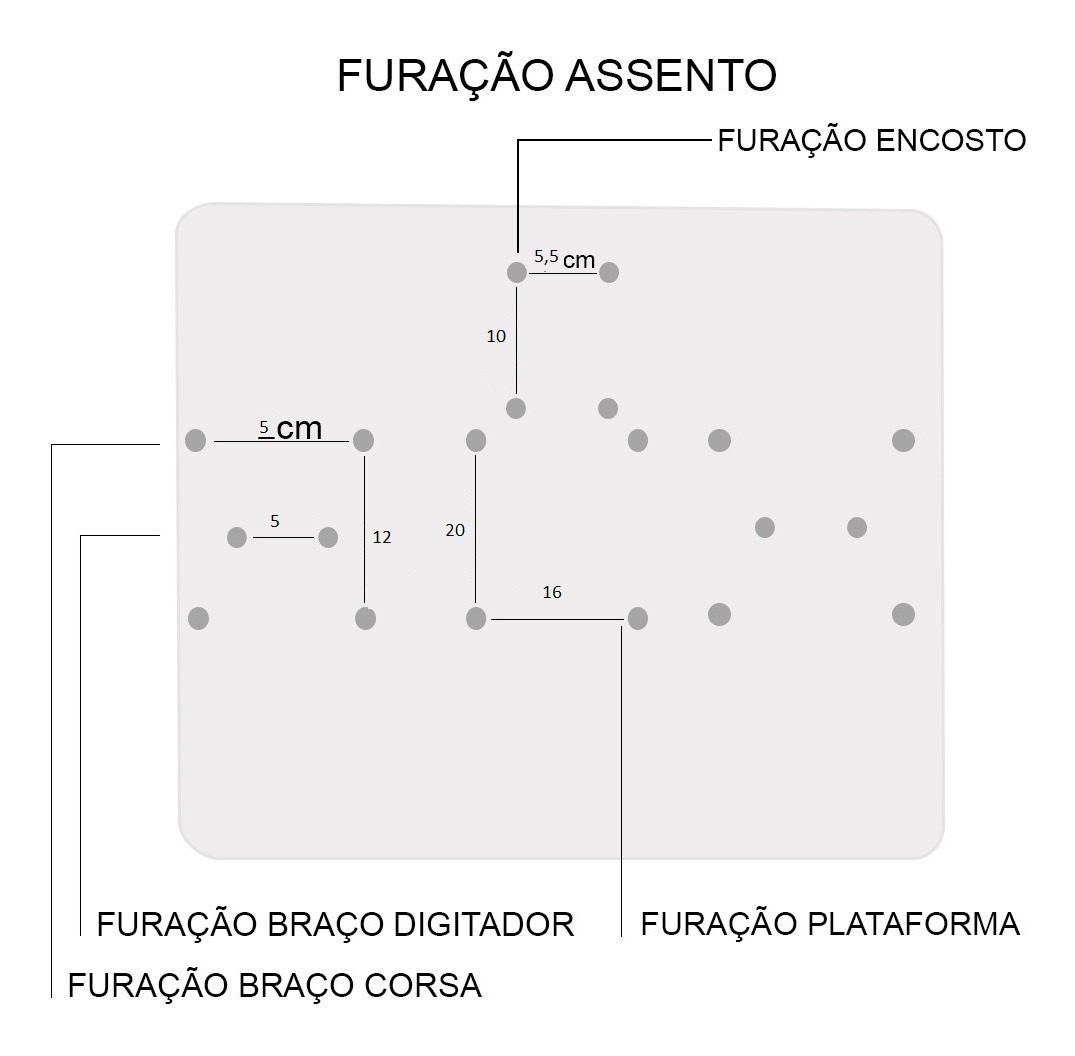 Assento Encosto Cadeira Presidente Com Lâmina L