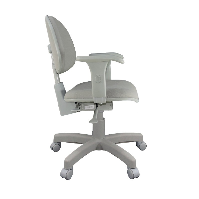 Cadeira Giratoria Executiva Back System Cinza CE Cinza