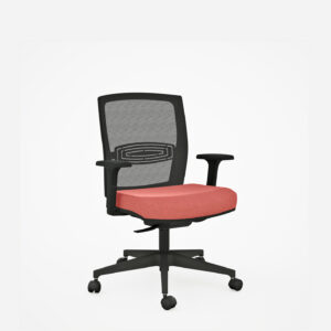 Cadeira de escritorio ergonomica - Cadeira Escritorio IND