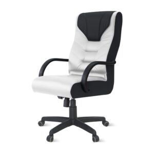 Cadeira Gamer Aurum Giratória Relax com Braços Ergonômica NR-17