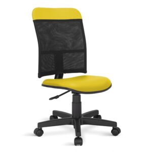 Cadeira Executiva Prisma Giratória Ergonômica NR-17