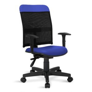 Cadeira Executiva Prisma Back System Ergonômica NR-17