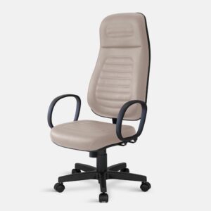 Cadeira Presidente Extra Soberana Relax Ergonômica NR-17