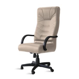 Cadeira Presidente Extra Aurum Relax Ergonômica NR-17