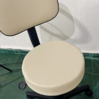 Mocho Giratório com Encosto e Regulagem a Gás | Estética, Massagem, Tatuagem e Consultório | 13 Cores — Cadeira Escritório IND photo review