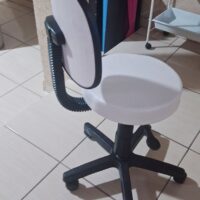 Mocho Giratório com Encosto e Regulagem a Gás | Estética, Massagem, Tatuagem e Consultório | 13 Cores — Cadeira Escritório IND photo review