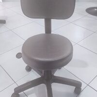 Mocho Giratório com Encosto e Regulagem a Gás | Estética, Massagem, Tatuagem e Consultório | 13 Cores — Cadeira Escritório IND photo review