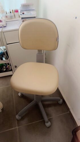 Mocho com Encosto de Regulagem em Profundidade — para Quem Divide o Mocho ou Tem Tronco Curto/Longo | Acabamento Cinza, 135 kg | 24 Cores — Cadeira Escritório IND photo review