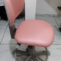 Cadeira Giratória para Nail Designer e Manicure com Encosto e Regulagem a Gás | 28 Cores — Cadeira Escritório IND photo review