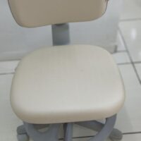Mocho 2009 com Aro de Apoio para os Pés — para Consultório Odontológico e Bancada Alta | Encosto Regulável, Acabamento Cinza, 135 kg | 17 Cores — Cadeira Escritório IND photo review