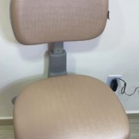 Mocho 2009 com Aro de Apoio para os Pés — para Consultório Odontológico e Bancada Alta | Encosto Regulável, Acabamento Cinza, 135 kg | 17 Cores — Cadeira Escritório IND photo review