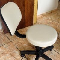 Mocho Giratório com Encosto e Regulagem a Gás | Estética, Massagem, Tatuagem e Consultório | 13 Cores — Cadeira Escritório IND photo review