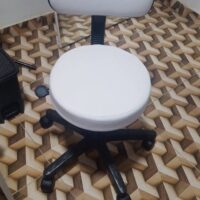 Mocho Giratório com Encosto e Regulagem a Gás | Estética, Massagem, Tatuagem e Consultório | 13 Cores — Cadeira Escritório IND photo review