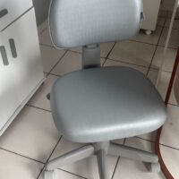 Mocho com Encosto de Regulagem em Profundidade — para Quem Divide o Mocho ou Tem Tronco Curto/Longo | Acabamento Cinza, 135 kg | 24 Cores — Cadeira Escritório IND photo review