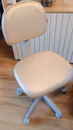 Mocho Profissional para Bancada Baixa — Entrada da Linha, sem Aro | Acabamento Cinza, Altura 44–54 cm, 110 kg | 31 Cores — Cadeira Escritório IND photo review