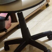 Cadeira Executiva Belluno Giratória em Couro Sintético com Regulagem de Altura | Escritório, Home Office e Recepção — Cadeira Escritório IND photo review
