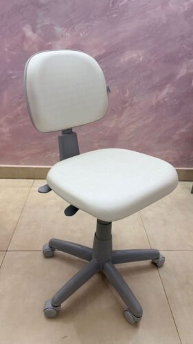 Mocho com Encosto de Regulagem em Profundidade — para Quem Divide o Mocho ou Tem Tronco Curto/Longo | Acabamento Cinza, 135 kg | 24 Cores — Cadeira Escritório IND photo review