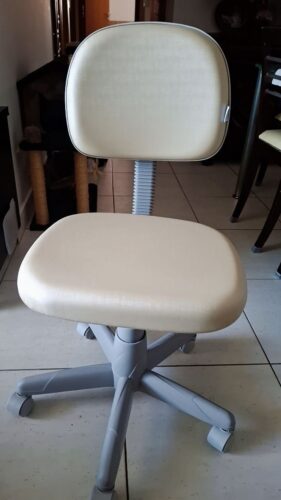 Mocho Profissional para Bancada Baixa — Entrada da Linha, sem Aro | Acabamento Cinza, Altura 44–54 cm, 110 kg | 31 Cores — Cadeira Escritório IND photo review